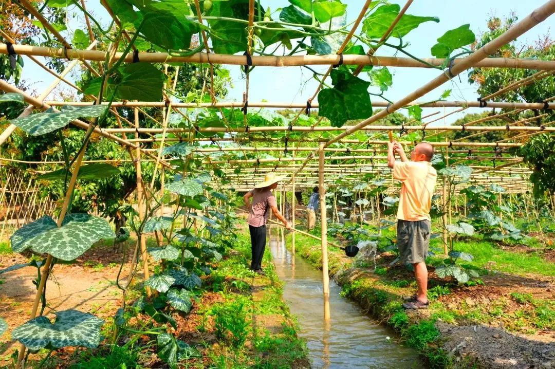 广东省土地利用总体规划